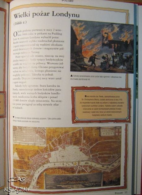 31746281.jpg