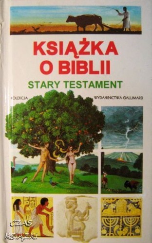 31753376.jpg