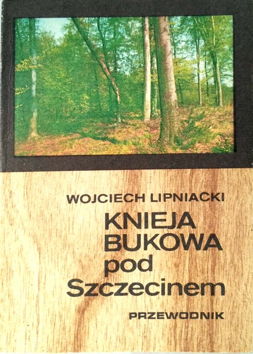 Nowy Dokument 2019-05-23 13.07.53_5.jpg