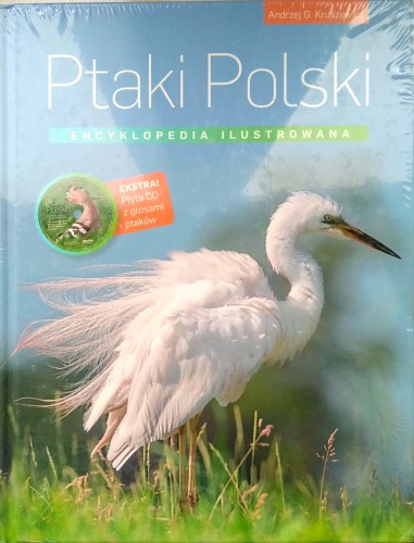 Nowy Dokument 2019-06-26 16.08.55_15.jpg