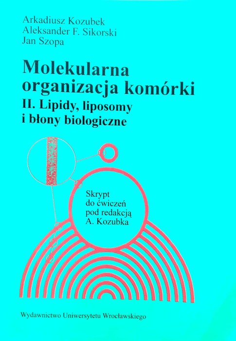 Nowy Dokument 2019-07-25 15.34.20_6.jpg