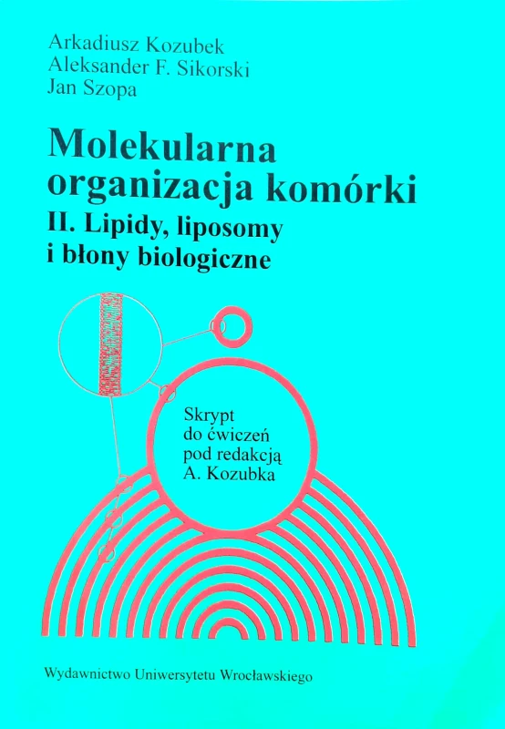 Nowy Dokument 2019-07-25 15.34.20_6.jpg