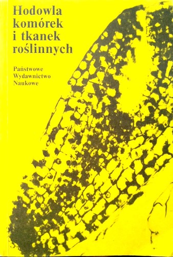 Nowy Dokument 2019-07-25 15.34.20_10.jpg