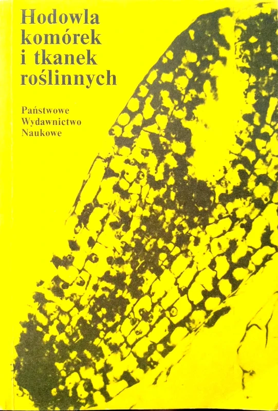 Nowy Dokument 2019-07-25 15.34.20_10.jpg
