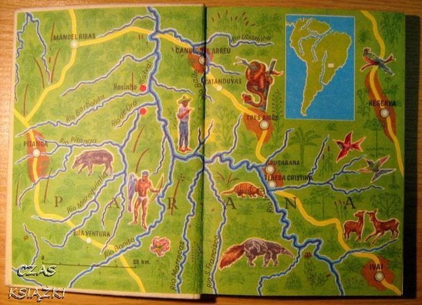 32704018.jpg
