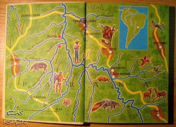 32704018.jpg