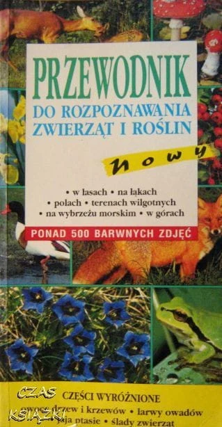 32729348.jpg
