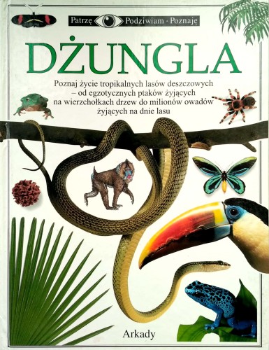 Nowy Dokument 2019-10-04 15.14.00_4.jpg