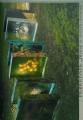 IMG_20200426_132046.jpg