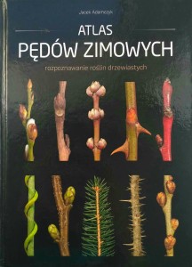 Jacek Adamczyk, Atlas pędów zimowych