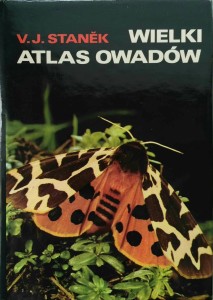Stanek, Wielki atlas owadów