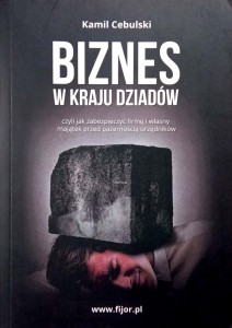 Kamil Cebulski, Biznes w kraju dziadów