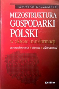 Jarosław Kaczmarek, Mezostruktura gospodarki Polski w okresie transformacji