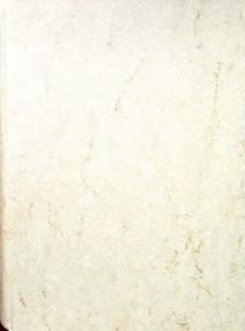 Antonio Zirardini, Edifizj Profani di Ravenna