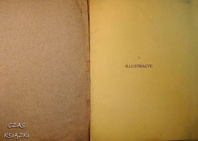 35704968.jpg