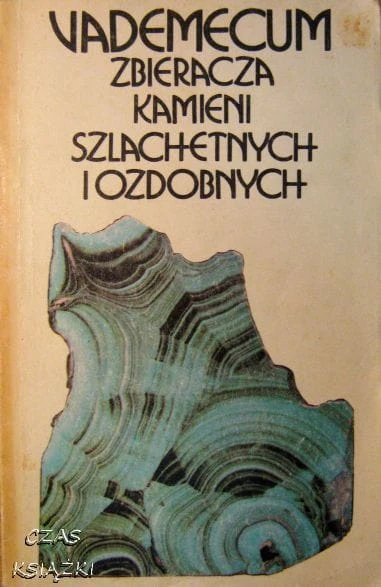 35772924.jpg