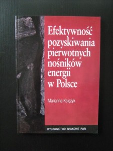 Marianna Księżyk, Efektywność pozyskiwania pierwotnych nośników energii w Polsce