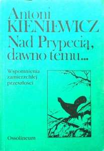 Antoni Kieniewicz, Nad Prypecią, dawno temu...