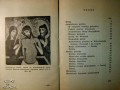 36873264.jpg
