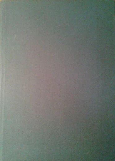 37035032.jpg