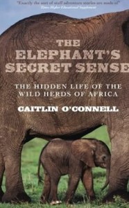 Caitlin O'Connell, The Elephant's Secret Sense: The Hidden Life Of The Wild Herds Of Africa