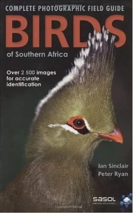37088338.jpg