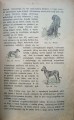 CamScanner 02-27-2022 12.16_12.jpg
