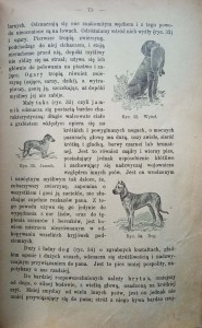 CamScanner 02-27-2022 12.16_12.jpg