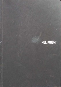 Michelle Davis, Polimoda Szkoła mody Florencja
