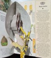 CamScanner 05-31-2022 13.58_8.jpg