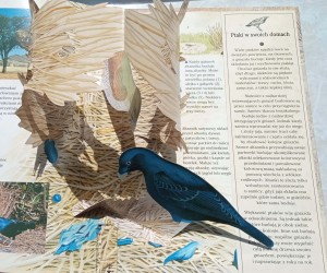 CamScanner 05-31-2022 13.58_9.jpg