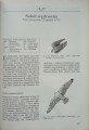 CamScanner 10-04-2022 14.47_5.jpg