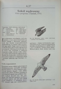 CamScanner 10-04-2022 14.47_5.jpg