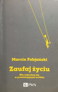 Marcin Fabjański, Zaufaj życiu