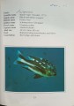 CamScanner 10-05-2022 14.28_30.jpg