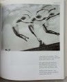 CamScanner 11-05-2022 11.44_13.jpg