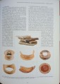 CamScanner 12-09-2022 13.39_14.jpg
