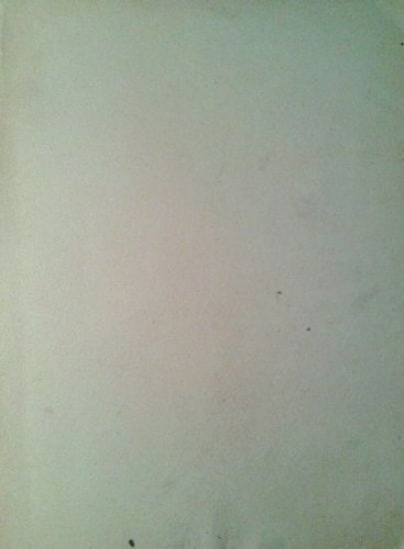 40915062.jpg