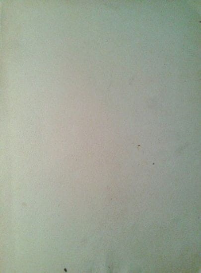 40915062.jpg