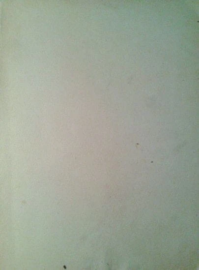 40915062.jpg