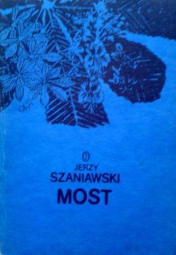 41258626.jpg