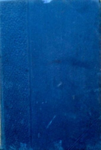 41401017.jpg