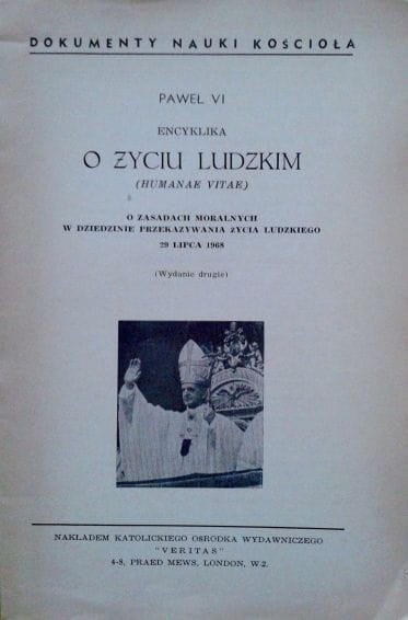 41401828.jpg