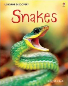Rachel Firth  Jonathan Sheikh-Miller, Snakes (Usborne Discovery)
