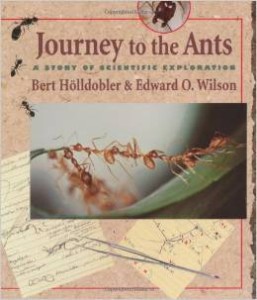 Bert Holldobler, Journey to the Ants