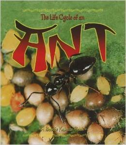 H.Dyer B.Kalman, The Life Cycle of an Ant