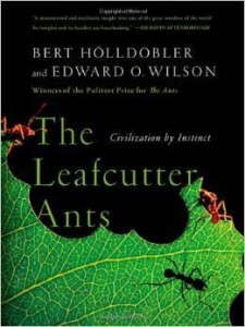 B.Holldobler E.O.Wilson, The Leafcutter Ants: Civilization by Instinct