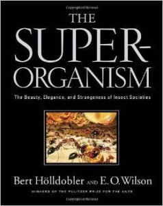 B Holldobler Edward O. Wilson, The Super-organism: The Beauty, Elegance, and Strangeness of Insect Societies