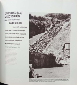 CamScanner 03-07-2023 12.35_12.jpg