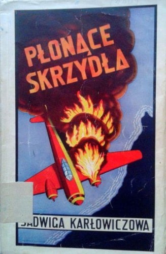 41934167.jpg
